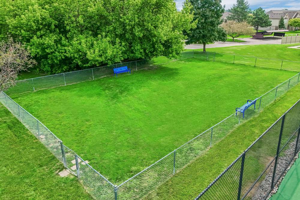 Onsite dog park at Lakeside Terraces in Sterling Heights, Michigan