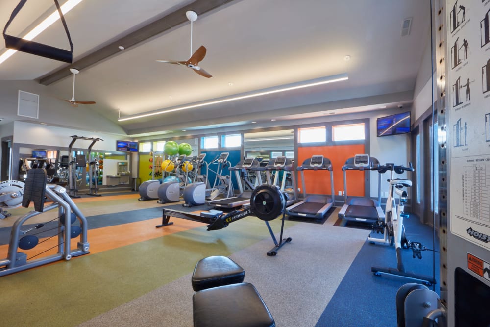 Cardio and strength equipment in the fitness center at Lakeside Terraces in Sterling Heights, Michigan