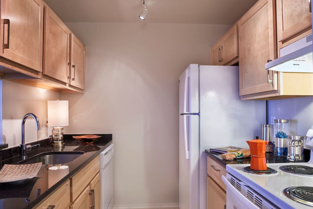 Newly renovated kitchen at Lakeside Terraces in Sterling Heights, Michigan