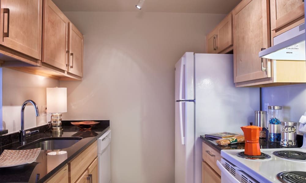 Kitchen with white appliances and dark countertops at Lakeside Terraces in Sterling Heights, Michigan