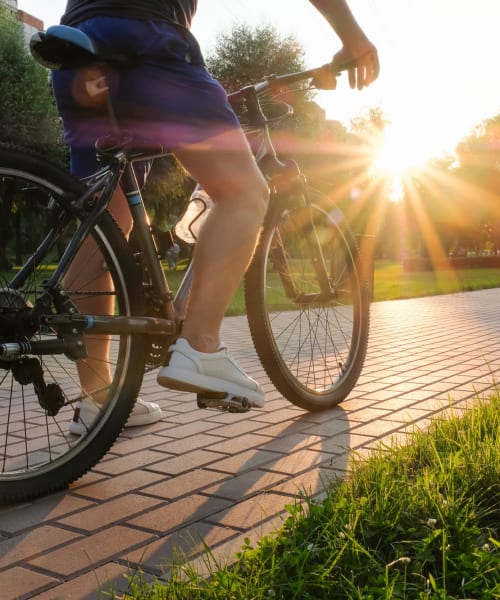 Resident riding a bike through a park near Lakeside Terraces in Sterling Heights, Michigan